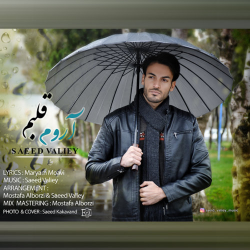 دانلود آهنگ سعید ولیی به نام آروم قلبم دانلود آهنگ سعید ولیی به نام آروم قلبم