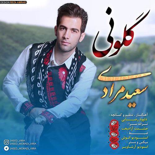 سعید مرادی - گلونی