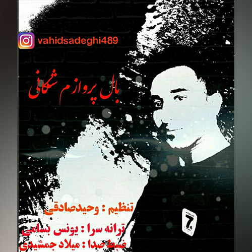 دانلود آهنگ وحید صادقی به نام بال پروازم شکانی دانلود آهنگ وحید صادقی به نام بال پروازم شکانی