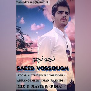 دانلود اهنگ جدید سعید وثوق به نام بچو بچو